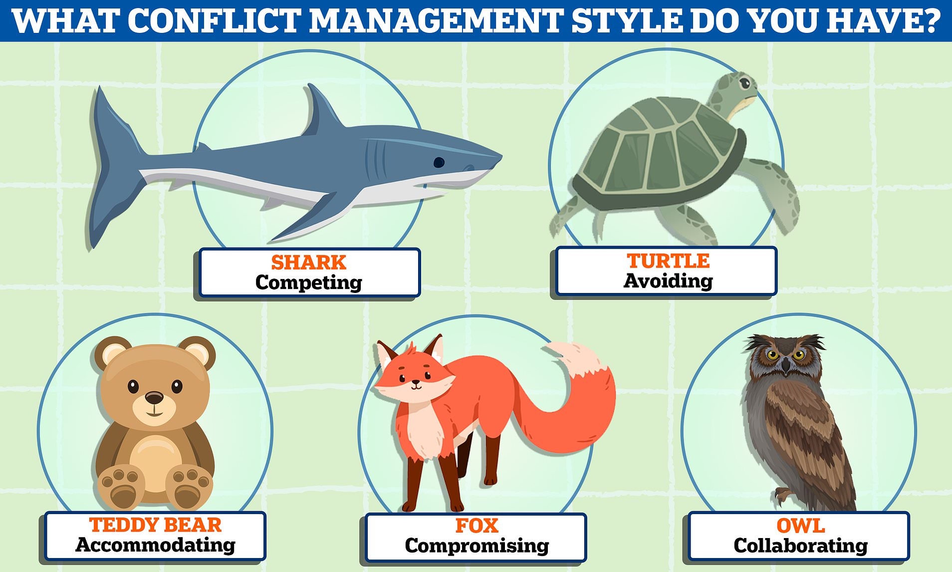 Take MailOnline s Quiz To Reveal Your Conflict Style And What It Says About You Daily Mail Online