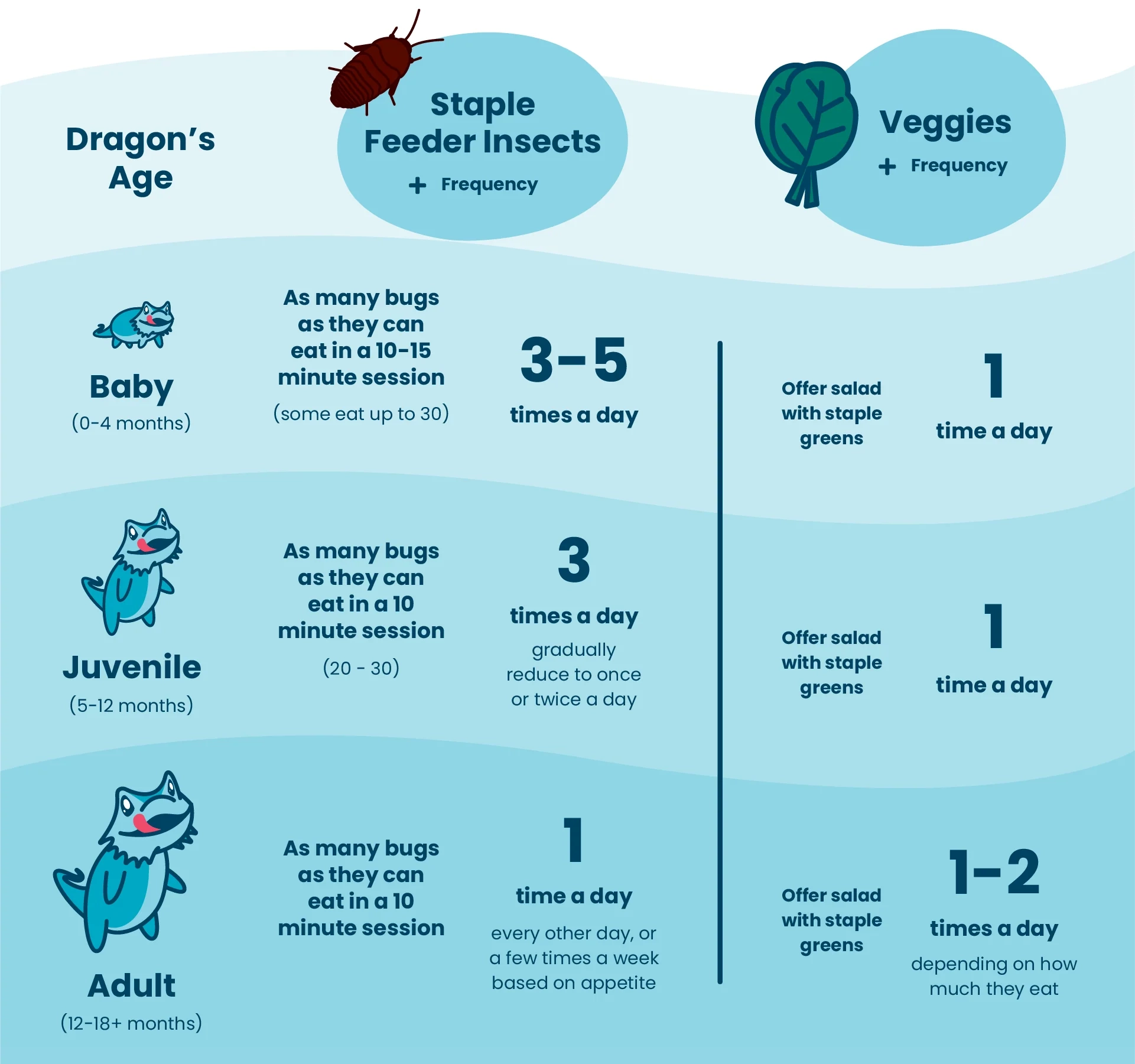 The Complete Bearded Dragon Diet Plan Bearded Dragon Care Dragon s Diet