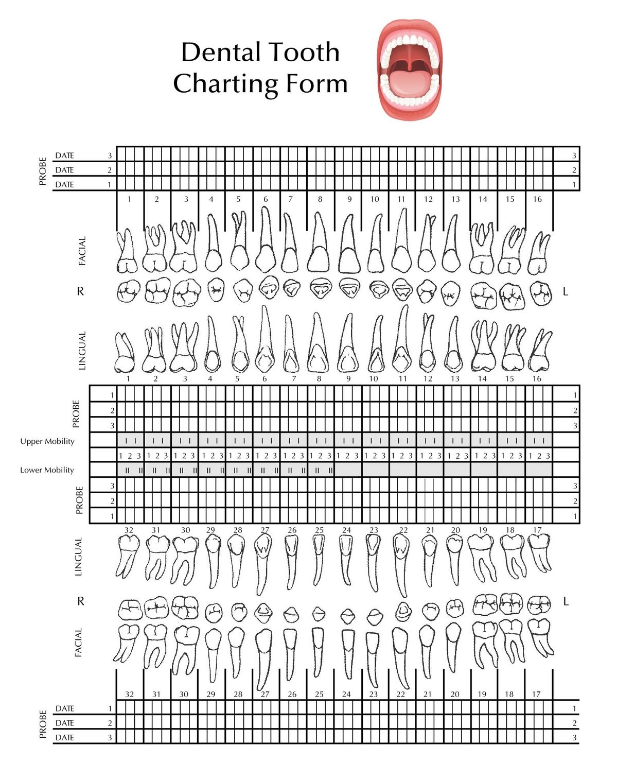 Perio Charting Form Printable