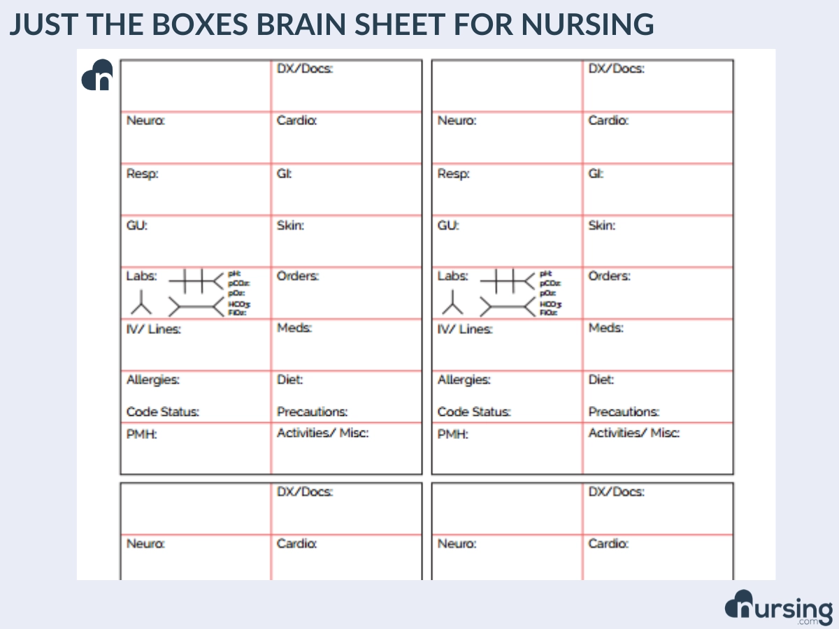Printable Nursing Organization Sheet