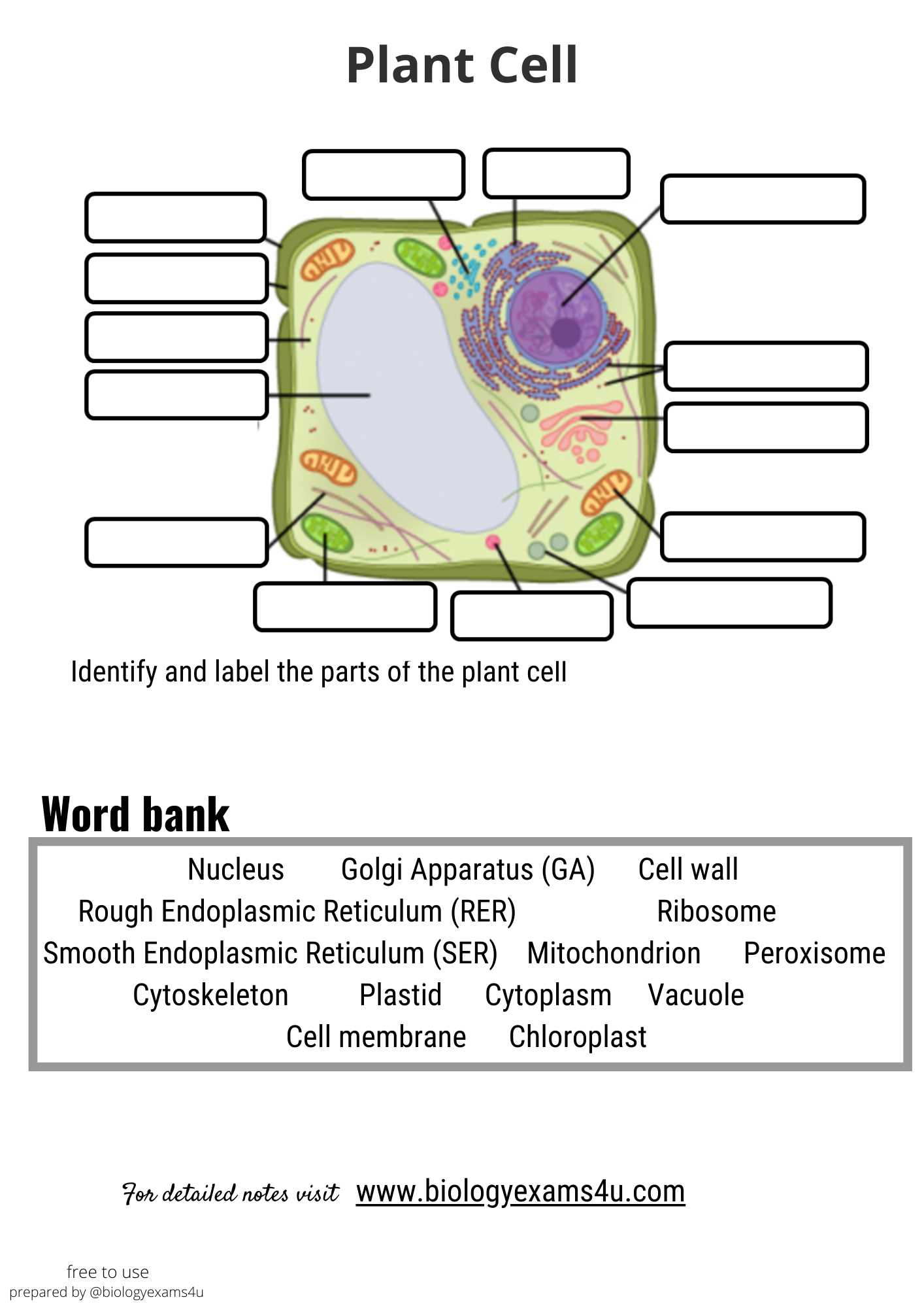 Cell Quiz Printable Free Cell Quiz Printable Free